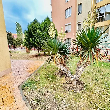 Vibes 4you, Sunny 阳光海滩