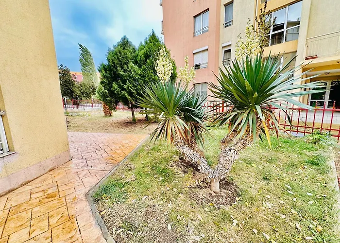 Vibes 4you, Sunny 써니비치