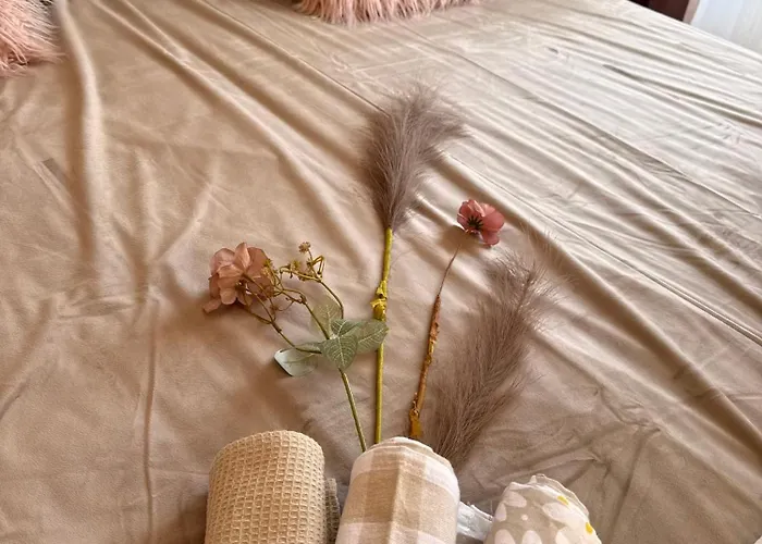 아파트 Vibes 4you, Sunny *