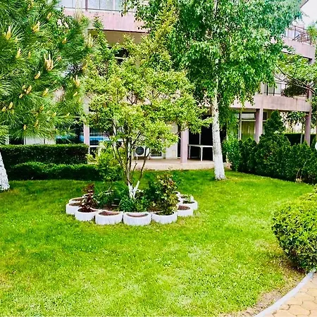 Vibes 4you, Sunny * 阳光海滩