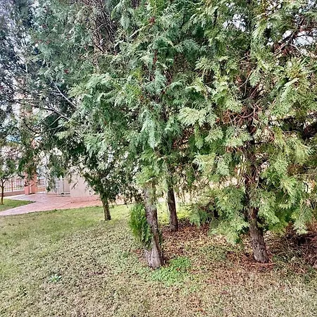 Апартамент Vibes 4you, Sunny