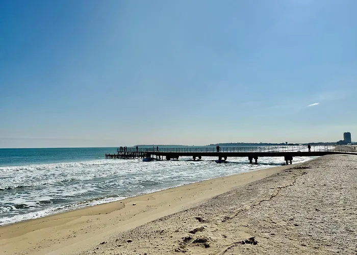 Vibes 4you, Sunny * Слънчев бряг