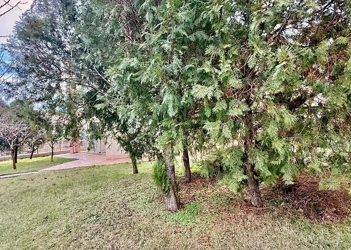 Апартамент Vibes 4you, Sunny